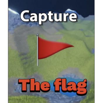 Capture the Flag