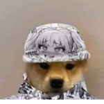 Кот и собака