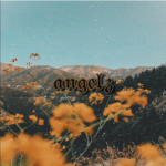 star angelz