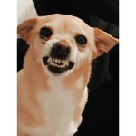 Ally’s apperal