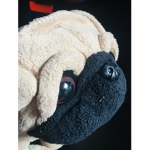 Puggo squad