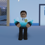 Roblox Game Protection Services