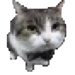 Monke Productions (TM I guess)