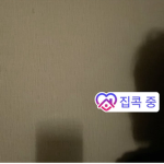 펲파픽!