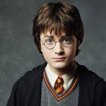 Harry Potter Fan Gang