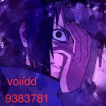 voiidd