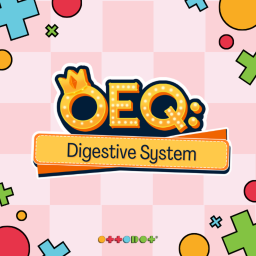 🥑 OEQ: Digestive System 🙍🏼‍♂️