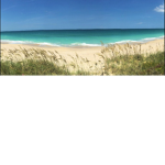 Mia’s Tropical Paradise