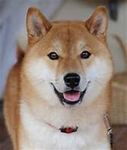 そうりしょう