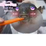 PufferFishGroup