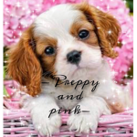 Preppy and pink