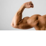 Muscle People