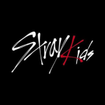Stray Kids Fandom Group