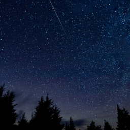 Stars hangout!