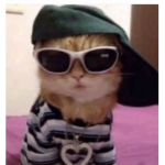 KITT3NS<3