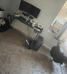 quacker_ducks