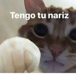 familia de noobs_que_pro