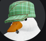 My Fellow Ducks