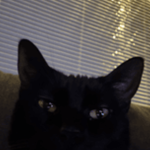 moonv3il