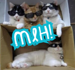 Grupo de los MLH! Únanse!