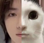 Friends group ig