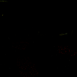 Night Camp