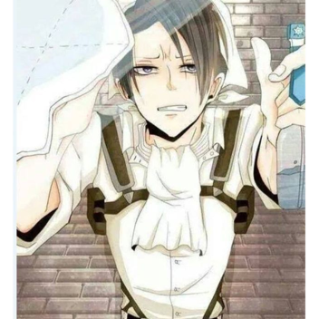 wall maria    (beta)