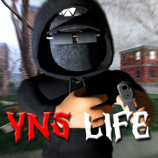 YNS Life icon