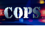 cop roleplay games group