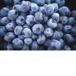 Berrys Fan Club