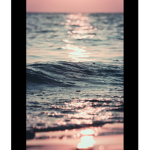 Majesta_15