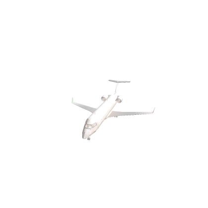 private jet