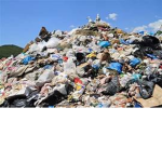Trash group 123