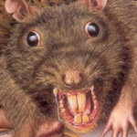 Mickey Rat's Servants