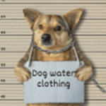 Dog Water Clothing.