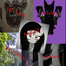 niche fest (CONCERT SOON!)