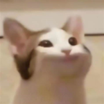 .Pop_Cat.