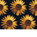The flowers :D