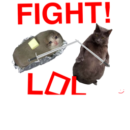fat cat fight