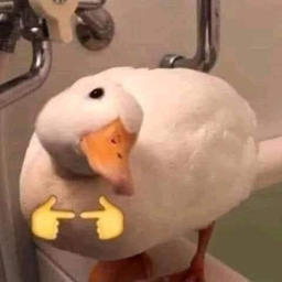 🦆
