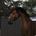 Le haras des Multivers