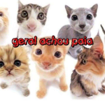 roupas maneiras iradas