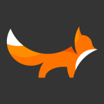 Shy Fox Studio
