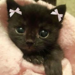 -. Yuki .-