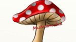The Mushroomo Clan