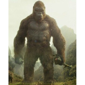 Kong vs bluey