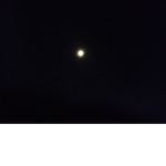 The Moon blood line