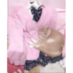 ~vals closet~
