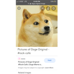 The Doge Fan Club!!!!