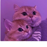 يحلويننن